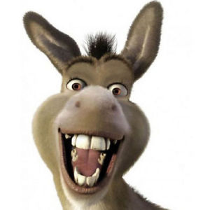 Avatar de Nestaliver